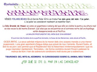 @yolaulaitu

VÍDEO: POLARD BEARS En el Cercle Polar Ártic es troba l'os més gran del món: l'os polar.
L'os polar es considerat realment un mamífer marí.
La Isla Grande de Hawai es como un gigantesco iceberg del que sólo es visible la punta y su altura real
es dos veces la del monte Everest. Las islas que se encuentran en el extremo norte del archipiélago
están desapareciendo en el Pacífico.
LA MAJOR PROFUNDITAT DEL MÓN QUE S'HA ARRIBAT
El punt de més fondària de la superfície terrestre, la fossa de les Mariannes, està ubicat al Pacífic.

OCEÀ ÀRTIC. La seva salinitat mitjana és la menor dels cinc oceans mercès a una menor
evaporació, i una gran aportació d'aigua dolça que prové de rius i torrents. Durant l'estiu, el
Sol no es pon i així permet que el fitoplàncton faci la fotosíntesi ininterrompudament i que es
pugui reproduir ràpidament. Tanmateix, i de forma contrària durant l'hivern pateixen la
manca de llum i han de sobreviure condicions molt dures per a sobreviure.
TIBURONES: DEL MITO AL ASOMBRO. 10 CURIOSIDADES SOBRE EL ANIMAL MÁS TEMIDO

¿POR QUÉ SE OYE EL MAR EN LAS CARACOLAS?

 