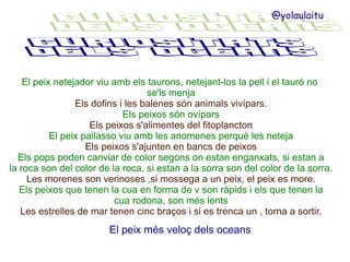 @yolaulaitu

El peix netejador viu amb els taurons, netejant-los la pell i el tauró no
se'ls menja
Els dofins i les balenes són animals vivípars.
Els peixos són ovípars
Els peixos s'alimentes del fitoplancton
El peix pallasso viu amb les anomenes perquè les neteja
Els peixos s'ajunten en bancs de peixos
Els pops poden canviar de color segons on estan enganxats, si estan a
la roca son del color de la roca, si estan a la sorra son del color de la sorra.
Les morenes son verinoses ,si mossega a un peix, el peix es more.
Els peixos que tenen la cua en forma de v son ràpids i els que tenen la
cua rodona, son més lents
Les estrelles de mar tenen cinc braços i si es trenca un , torna a sortir.

El peix més veloç dels oceans

 