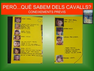 PERÒ...QUÈ SABEM DELS CAVALLS?
CONEIXEMENTS PREVIS
 