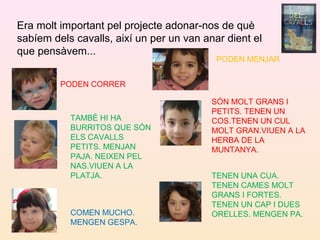 Era molt important pel projecte adonar-nos de què
sabíem dels cavalls, així un per un van anar dient el
que pensàvem...
PODEN CORRER
TAMBÉ HI HA
BURRITOS QUE SÓN
ELS CAVALLS
PETITS. MENJAN
PAJA. NEIXEN PEL
NAS.VIUEN A LA
PLATJA.
COMEN MUCHO.
MENGEN GESPA.
PODEN MENJAR
SÓN MOLT GRANS I
PETITS. TENEN UN
COS.TENEN UN CUL
MOLT GRAN.VIUEN A LA
HERBA DE LA
MUNTANYA.
TENEN UNA CUA.
TENEN CAMES MOLT
GRANS I FORTES.
TENEN UN CAP I DUES
ORELLES. MENGEN PA.
 