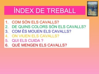 ÍNDEX DE TREBALL
1. COM SÓN ELS CAVALLS?
2. DE QUINS COLORS SÓN ELS CAVALLS?
3. COM ÉS MOUEN ELS CAVALLS?
4. ON VIUEN ELS CAVALLS?
5. QUI ELS CUIDA ?
6. QUÈ MENGEN ELS CAVALLS?
 