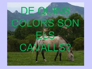 DE QUINS
COLORS SÓN
ELS
CAVALLS?
 