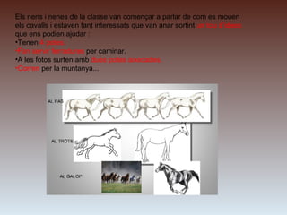 Els nens i nenes de la classe van començar a parlar de com es mouen
els cavalls i estaven tant interessats que van anar sortint un tou d’idees
que ens podien ajudar :
•Tenen 4 potes.
•Fan servir ferradures per caminar.
•A les fotos surten amb dues potes aixecades.
•Corren per la muntanya...
 