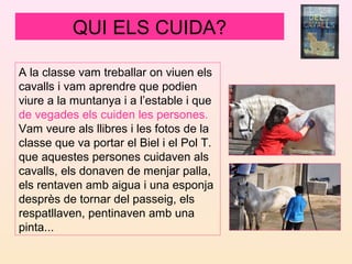 QUI ELS CUIDA?
A la classe vam treballar on viuen els
cavalls i vam aprendre que podien
viure a la muntanya i a l’estable i que
de vegades els cuiden les persones.
Vam veure als llibres i les fotos de la
classe que va portar el Biel i el Pol T.
que aquestes persones cuidaven als
cavalls, els donaven de menjar palla,
els rentaven amb aigua i una esponja
desprès de tornar del passeig, els
respatllaven, pentinaven amb una
pinta...
 
