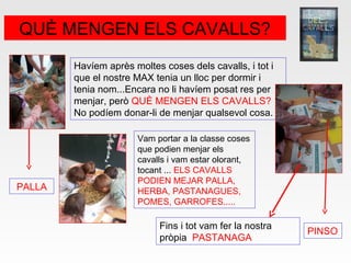 QUÈ MENGEN ELS CAVALLS?
Havíem après moltes coses dels cavalls, i tot i
que el nostre MAX tenia un lloc per dormir i
tenia nom...Encara no li havíem posat res per
menjar, però QUÈ MENGEN ELS CAVALLS?
No podíem donar-li de menjar qualsevol cosa.
Vam portar a la classe coses
que podien menjar els
cavalls i vam estar olorant,
tocant ... ELS CAVALLS
PODIEN MEJAR PALLA,
HERBA, PASTANAGUES,
POMES, GARROFES.....
Fins i tot vam fer la nostra
pròpia PASTANAGA
PALLA
PINSO
 