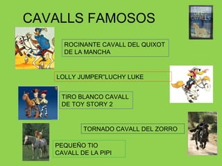 CAVALLS FAMOSOS
ROCINANTE CAVALL DEL QUIXOT
DE LA MANCHA
LOLLY JUMPER”LUCHY LUKE
TIRO BLANCO CAVALL
DE TOY STORY 2
TORNADO CAVALL DEL ZORRO
PEQUEÑO TIO
CAVALL DE LA PIPI
 
