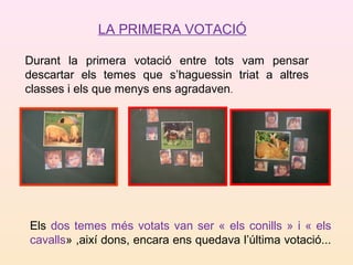 LA PRIMERA VOTACIÓ
Durant la primera votació entre tots vam pensar
descartar els temes que s’haguessin triat a altres
classes i els que menys ens agradaven.
Els dos temes més votats van ser « els conills » i « els
cavalls» ,així dons, encara ens quedava l’última votació...
 