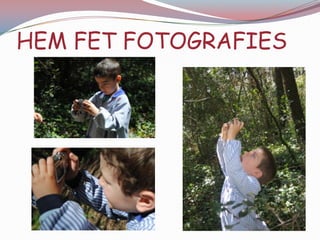 AQUÍ TENIA UN  “BICHO” AL DIT I EN JOFRE EL MIRAVA AMB LA LUPA. 