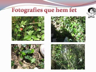 HEM FET FOTOGRAFIES