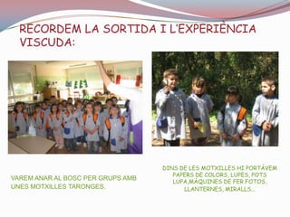 RECORDEM LA SORTIDA I L’EXPERIÈNCIA VISCUDA:DINS DE LES MOTXILLES HI PORTÀVEM PAPERS DE COLORS, LUPES, POTS LUPA,MÀQUINES DE FER FOTOS, LLANTERNES, MIRALLS...VAREM ANAR AL BOSC PER GRUPS AMB UNES MOTXILLES TARONGES.