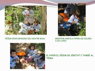  VÀREM VEURE UNA FORMIGA I AMB LA LUPA ES VEIA MOLT GRAN - AQUÍ TENIA UN  “BICHO” AL DIT I EN JOFRE EL MIRAVA AMB LA LUPA.- VÀREM TROBAR UNA PINYA I ENS LA VÀREM MIRAR MOLT BÉ.- EL SOL TOCAVA AL PAPER I ES VEIA IGUAL AL TERRA.- VÀREM FER MOLTES FOTOS I VA SER MOLT DIVERTIT I LA MONTSE SEGUIA A UNA PAPALLONA PER FER-LI FOTOS.