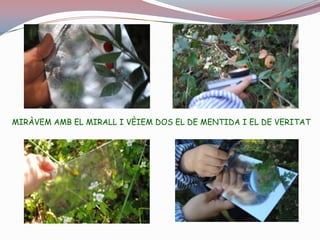 AMB LA LUPA VÈIEM LES COSES PETITES MÉS GRANS