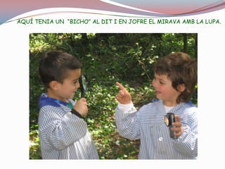 L’ESPÀRREC AMB EL MIRALL ES VEIA COM UN COR