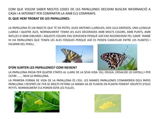 COM QUE VOLEM SABER MOLTES COSES DE LES PAPALLONES DECIDIM BUSCAR INFORMACIÓ A
CASA I A INTERNET PER COMPARTIR-LA AMB ELS COMPANYS.
EL QUE HEM TROBAT DE LES PAPALLONES:
LA PAPALLONA ÉS UN INSECTE QUE TÉ SIS POTES, DUES ANTENES LLARGUES, DOS ULLS GROSSOS, UNA LLENGUA
LLARGA I QUATRE ALES. NORMALMENT TENIM LES ALES DECORADES AMB MOLTS COLORS, AMB PUNTS, AMB
RATLLES O AMB DIBUIXOS I AQUESTS COLORS ENS SERVEIXEN PERQUÈ AIXÍ ENS RECONEIXEM PEL CAMP. TAMBÉ
HI HA PAPALLONES QUE TENEN LES ALES FOSQUES PERQUÈ AIXÍ ES PODEN CAMUFLAR ENTRE LES PLANTES I
ESCAPAR DEL PERILL.
D’ON SURTEN LES PAPALLONES? COM NEIXEN?
LA PAPALLONA PASSA PER QUATRE ETAPES AL LLARG DE LA SEVA VIDA: OU, ERUGA, CRISÀLIDE (O CAPOLL) I PER
ÚLTIM ....... NEIX LA PAPALLONA.
LA PRIMERA FORMA DE VIDA DE LA PAPALLONA ÉS L’OU. LES MAMES PAPALLONES S’ENAMOREN DELS PAPES
PAPALLONA I DESPRÉS DE FER-SE MOLTS PETONS LA MAMA VA DE PLANTA EN PLANTA PONENT GRUPETS D’OUS
PETITS. NORMALMENT ELS PONEN SOTA LES FULLES.
 