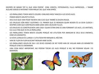 DESPRÉS DE MIRAR TOT EL QUE HEM PORTAT COM: CONTES, FOTOGRAFIES, FULLS IMPRESSOS... I TAMBÉ
ALGUNS VIDEOS D’INTERNET HEM PARLAT DEL QUE HEM APRÈS.
- LES PAPALLONES TENEN MOLTS COLORS I DIBUIXOS MOLT MACOS A LES SEVES ALES.
- PONEN MOLTS GRUPETS D’OUS.
- DELS OUS QUE HAN POSAT NEIXEN UNS CUCS QUE TAMBÉ ES DIUEN ERUGA.
- LES ERUGUES SÓN MOLT GLOTONES I EL PRIMER QUE ES MENGEN QUAN NEIXEN ÉS LA SEVA CLOSCA I
DESPRÉS COM QUE CONTINUEN AMB GANA VAN A BUSCAR FULLES.
- LES ERUGUES ES CONSTRUEIXEN UNA CASA I QUAN ESTAN DINS ES VAN FORMANT LES ALES, LES ANTENES,
ELS ULLS FINS QUE ES FA LA PAPALLONA.
- LES PAPALLONES TENEN MOLTS COLORS PERQUÈ HO UTILITZEN PER AMAGAR-SE DELS SEUS ENEMICS,
COM LES GRANOTES.
- LA SEVA LLENGUA ÉS LLARGA I L’UTILITZEN PER MENJAR EL NÈCTAR.
- VAN DE FLOR EN FLOR BUSCANT MENJAR AMB SUCRE.
- LES PAPALLONES VOLEN DE DIA I LES SEVES COSINES DE NIT PERÒ HAN DE VIGILAR AMB LES BOMBETES
PERQUÈ SI NO ES CREMARAN.
- UNA COSA MOLT IMPORTANT, NO PODEM TOCAR LES ALES PERQUÈ SI NO, NO PODRAN VOLAR I ES
MORIRAN.
 