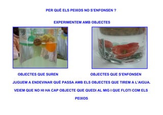 PER QUÈ ELS PEIXOS NO S’ENFONSEN ?


                   EXPERIMENTEM AMB OBJECTES




  OBJECTES QUE SUREN                   OBJECTES QUE S’ENFONSEN

JUGUEM A ENDEVINAR QUÈ PASSA AMB ELS OBJECTES QUE TIREM A L’AIGUA.

VEIEM QUE NO HI HA CAP OBJECTE QUE QUEDI AL MIG I QUE FLOTI COM ELS

                              PEIXOS
 