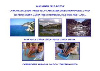 QUÈ SABEM DELS PEIXOS

LA MAJORIA DELS NENS I NENES DE LA CLASSE SABEN QUE ELS PEIXOS VIUEN A L’AIGUA

    ELS PEIXOS VIUEN A L’AIGUA FREDA O TEMPERADA, DELS MARS, RIUS I LLACS...




              HI HA PEIXOS D’AIGUA DOLÇA I PEIXOS D’AIGUA SALADA.




            EXPERIMENTEM AMB AIGUA CALENTA, TEMPERADA I FREDA
 