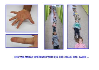 ENS VAM AMIDAR DIFERENTS PARTS DEL COS : MANS, DITS, CAMES ...
 