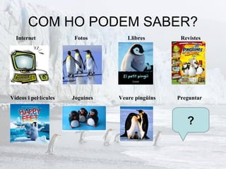 COM HO PODEM SABER?
  Internet             Fotos         Llibres        Revistes




Vídeos i pel·lícules   Joguines   Veure pingüins   Preguntar



                                                      ?
 