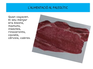 Quan caçaven.
El seu menjar
era bisons,
mamuts,
insectes,
rinoceronts,
cavalls,
cérvols, cabres.
L'ALIMENTACIÓ AL PALEOLÍTIC
 