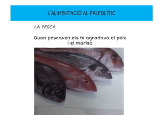 LA PESCA
Quan pescaven els hi agradava el peix
i el marisc
L'ALIMENTACIÓ AL PALEOLÍTIC
 