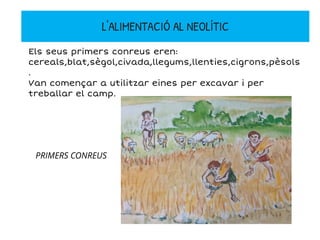 Els seus primers conreus eren:
cereals,blat,sègol,civada,llegums,llenties,cigrons,pèsols
.
Van començar a utilitzar eines per excavar i per
treballar el camp.
PRIMERS CONREUS
L'ALIMENTACIÓ AL NEOLÍTIC
 