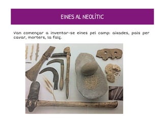 EINES AL NEOLÍTIC
Van començar a inventar-se eines pel camp: aixades, pals per
cavar, morters, la falç.
 