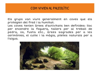 Els grups van viure generalment en coves que els
protegien del fred i la humitat.
Les coves tenien àrees d'activitats ben definides: lloc
per encendre la foguera, tallers per al treball de
pedra, os, fusta etc., àrees sagrades per a les
cerimònies, el culte i la màgia, piletes naturals per a
l'aigua.
COM VIVIEN AL PALEOLÍTIC
 
