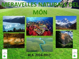 4t A 2016-2017
MERAVELLES NATURALS DEL
MÓN
 