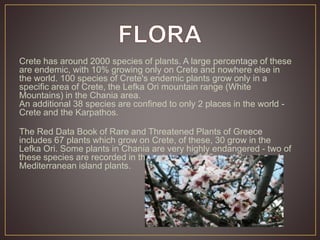 Crete has around 2000 species of plants. A large percentage of these 
are endemic, with 10% growing only on Crete and nowhere else in 
the world. 100 species of Crete's endemic plants grow only in a 
specific area of Crete, the Lefka Ori mountain range (White 
Mountains) in the Chania area. 
An additional 38 species are confined to only 2 places in the world - 
Crete and the Karpathos. 
The Red Data Book of Rare and Threatened Plants of Greece 
includes 67 plants which grow on Crete, of these, 30 grow in the 
Lefka Ori. Some plants in Chania are very highly endangered - two of 
these species are recorded in the catalogue of 50 most threatened 
Mediterranean island plants. 
 