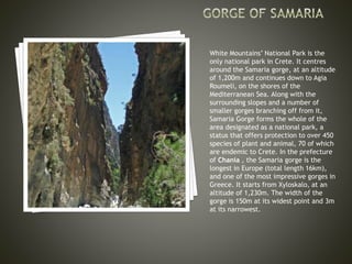 White Mountains’ National Park is the 
only national park in Crete. It centres 
around the Samaria gorge, at an altitude 
of 1,200m and continues down to Agia 
Roumeli, on the shores of the 
Mediterranean Sea. Along with the 
surrounding slopes and a number of 
smaller gorges branching off from it, 
Samaria Gorge forms the whole of the 
area designated as a national park, a 
status that offers protection to over 450 
species of plant and animal, 70 of which 
are endemic to Crete. In the prefecture 
of Chania , the Samaria gorge is the 
longest in Europe (total length 16km), 
and one of the most impressive gorges in 
Greece. It starts from Xyloskalo, at an 
altitude of 1,230m. The width of the 
gorge is 150m at its widest point and 3m 
at its narrowest. 
 