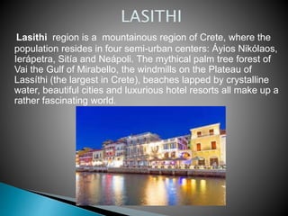 Lasithi region is a mountainous region of Crete, where the 
population resides in four semi-urban centers: Áyios Nikólaos, 
Ierápetra, Sitía and Neápoli. The mythical palm tree forest of 
Vai the Gulf of Mirabello, the windmills on the Plateau of 
Lassíthi (the largest in Crete), beaches lapped by crystalline 
water, beautiful cities and luxurious hotel resorts all make up a 
rather fascinating world. 
 