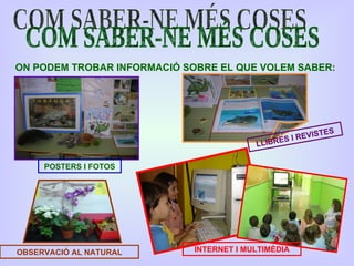 Treball per Projectes