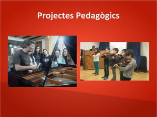 Projectes Pedagògics
 
