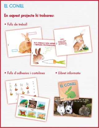 Projecte Educació Infantil. Nivell 1