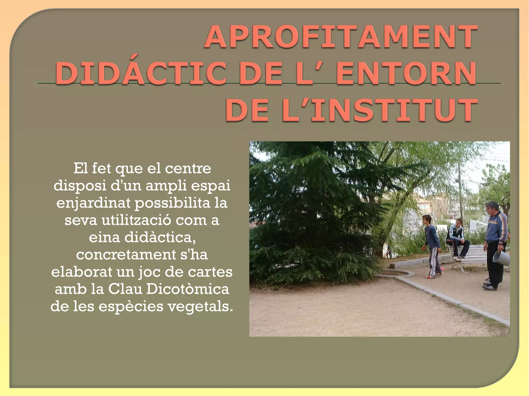 El fet que el centre
disposi d'un ampli espai
 enjardinat possibilita la
  seva utilització com a
     eina didàctica,
    concretament s'ha
elaborat un joc de cartes
amb la Clau Dicotòmica
de les espècies vegetals.
 