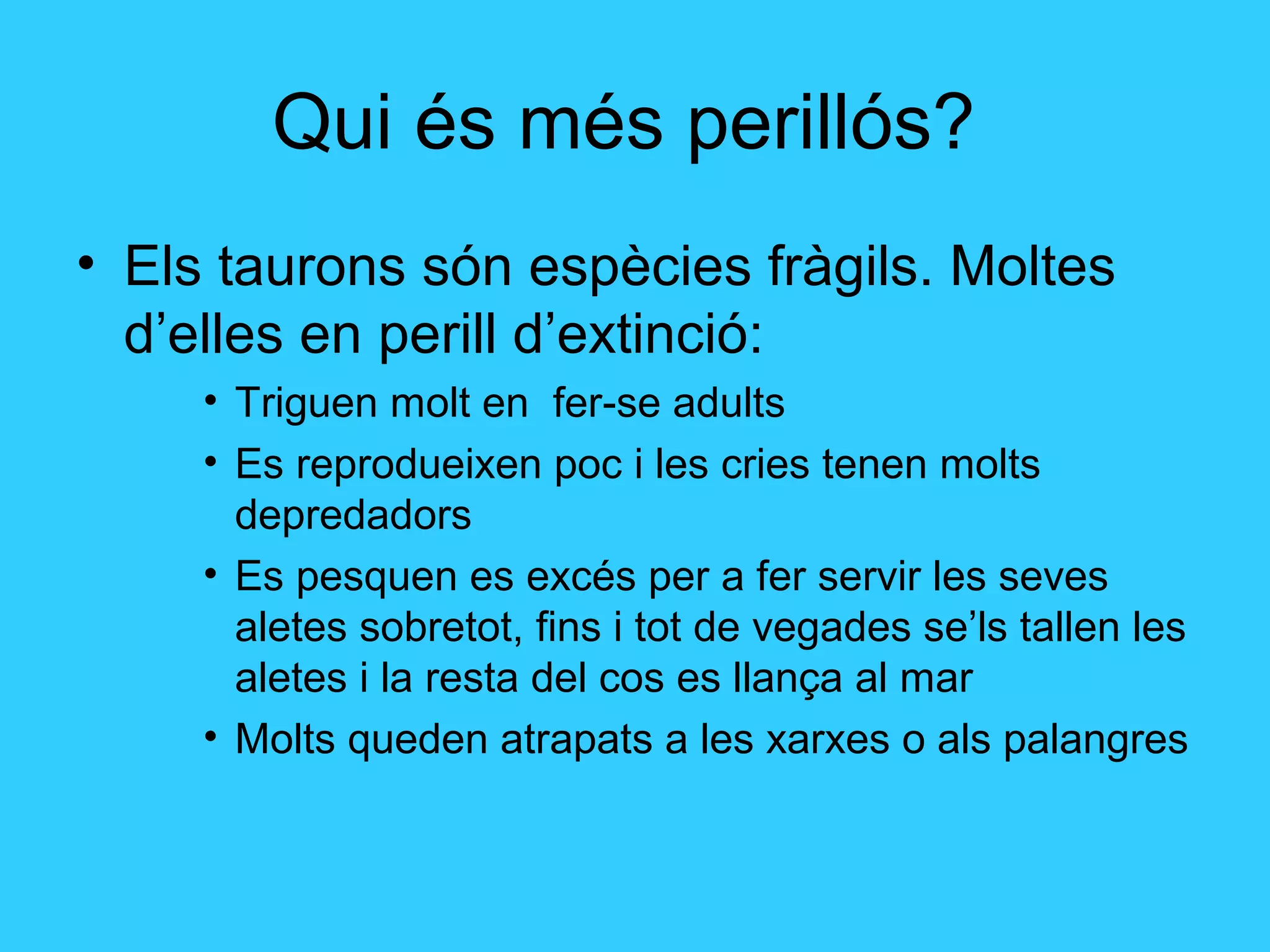 Qui és més perillós?
• Els taurons són espècies fràgils. Moltes
d’elles en perill d’extinció:
• Triguen molt en fer-se adults
• Es reprodueixen poc i les cries tenen molts
depredadors
• Es pesquen es excés per a fer servir les seves
aletes sobretot, fins i tot de vegades se’ls tallen les
aletes i la resta del cos es llança al mar
• Molts queden atrapats a les xarxes o als palangres
 