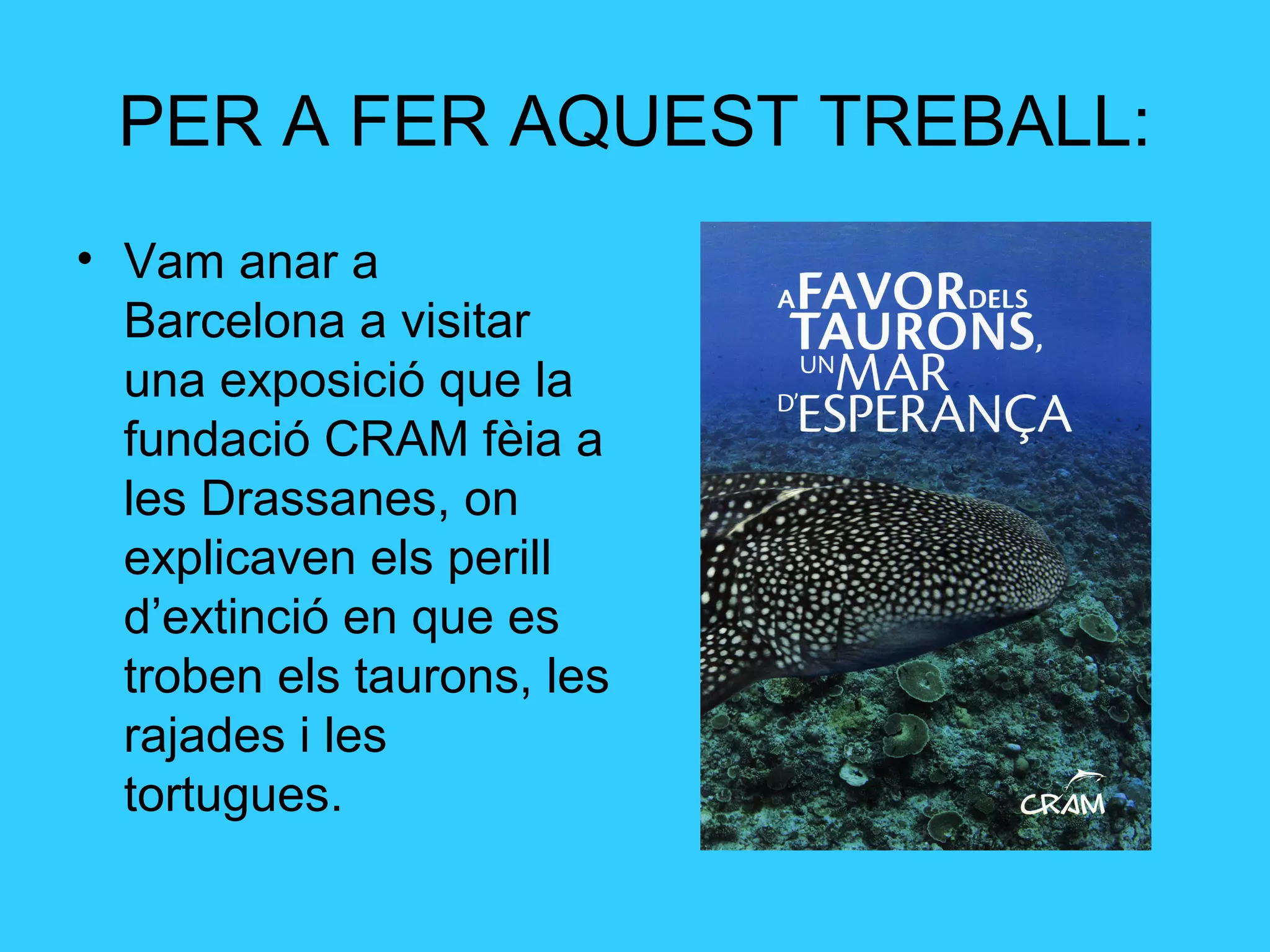 PER A FER AQUEST TREBALL:
• Vam anar a
Barcelona a visitar
una exposició que la
fundació CRAM fèia a
les Drassanes, on
explicaven els perill
d’extinció en que es
troben els taurons, les
rajades i les
tortugues.
 