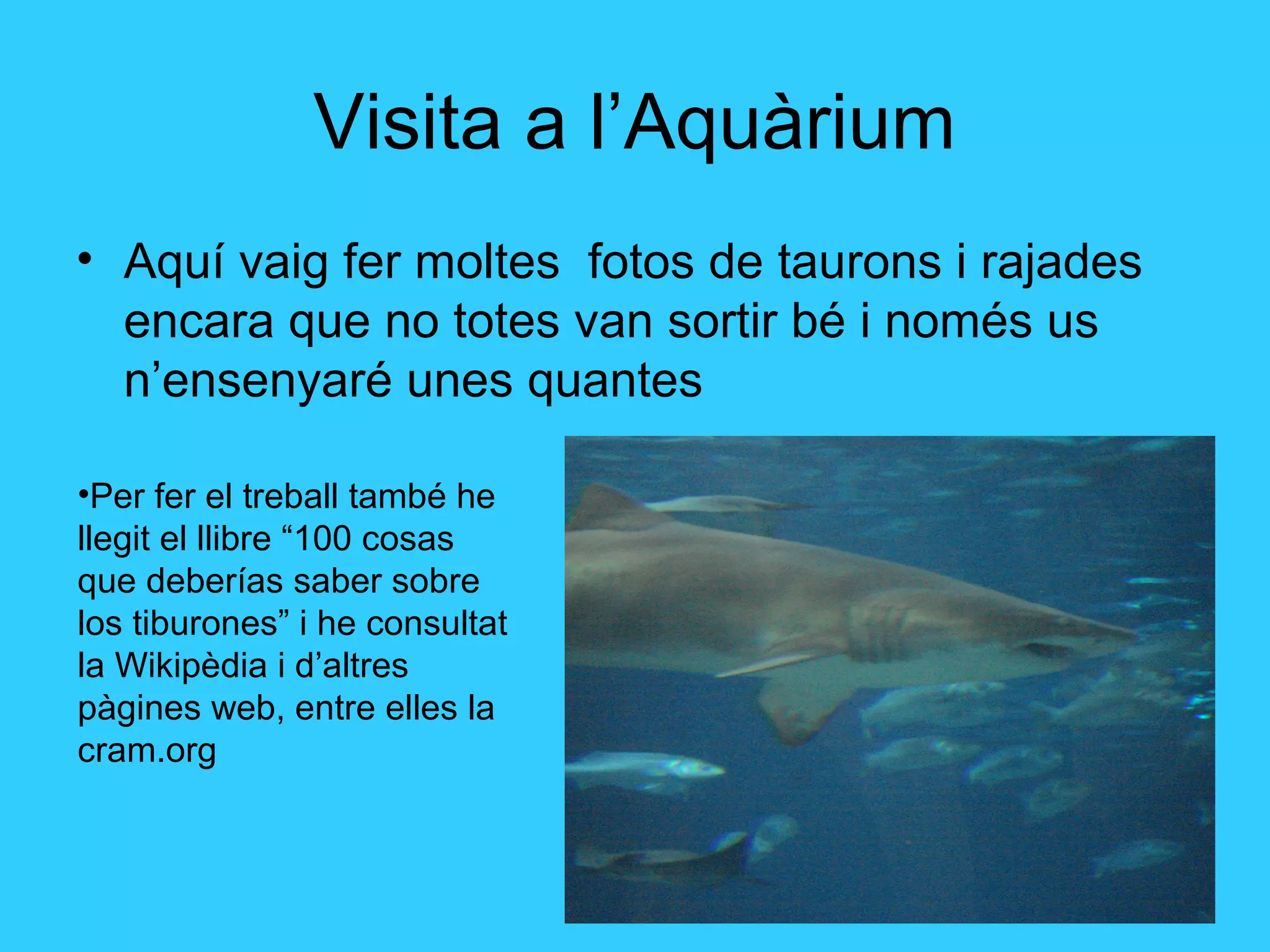 Visita a l’Aquàrium
• Aquí vaig fer moltes fotos de taurons i rajades
encara que no totes van sortir bé i només us
n’ensenyaré unes quantes
•Per fer el treball també he
llegit el llibre “100 cosas
que deberías saber sobre
los tiburones” i he consultat
la Wikipèdia i d’altres
pàgines web, entre elles la
cram.org
 