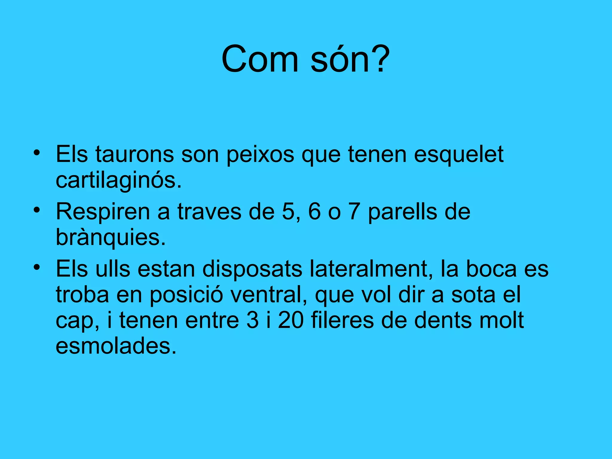 Com són?
• Els taurons son peixos que tenen esquelet
cartilaginós.
• Respiren a traves de 5, 6 o 7 parells de
brànquies.
• Els ulls estan disposats lateralment, la boca es
troba en posició ventral, que vol dir a sota el
cap, i tenen entre 3 i 20 fileres de dents molt
esmolades.
 