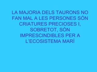LA MAJORIA DELS TAURONS NO
FAN MAL A LES PERSONES SÓN
CRIATURES PRECIOSES I,
SOBRETOT, SÓN
IMPRESCINDIBLES PER A
L’ECOSISTEMA MARÍ
 
