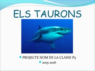 ELS TAURONS
PROJECTE NOM DE LA CLASSE P5
2015-2016
 