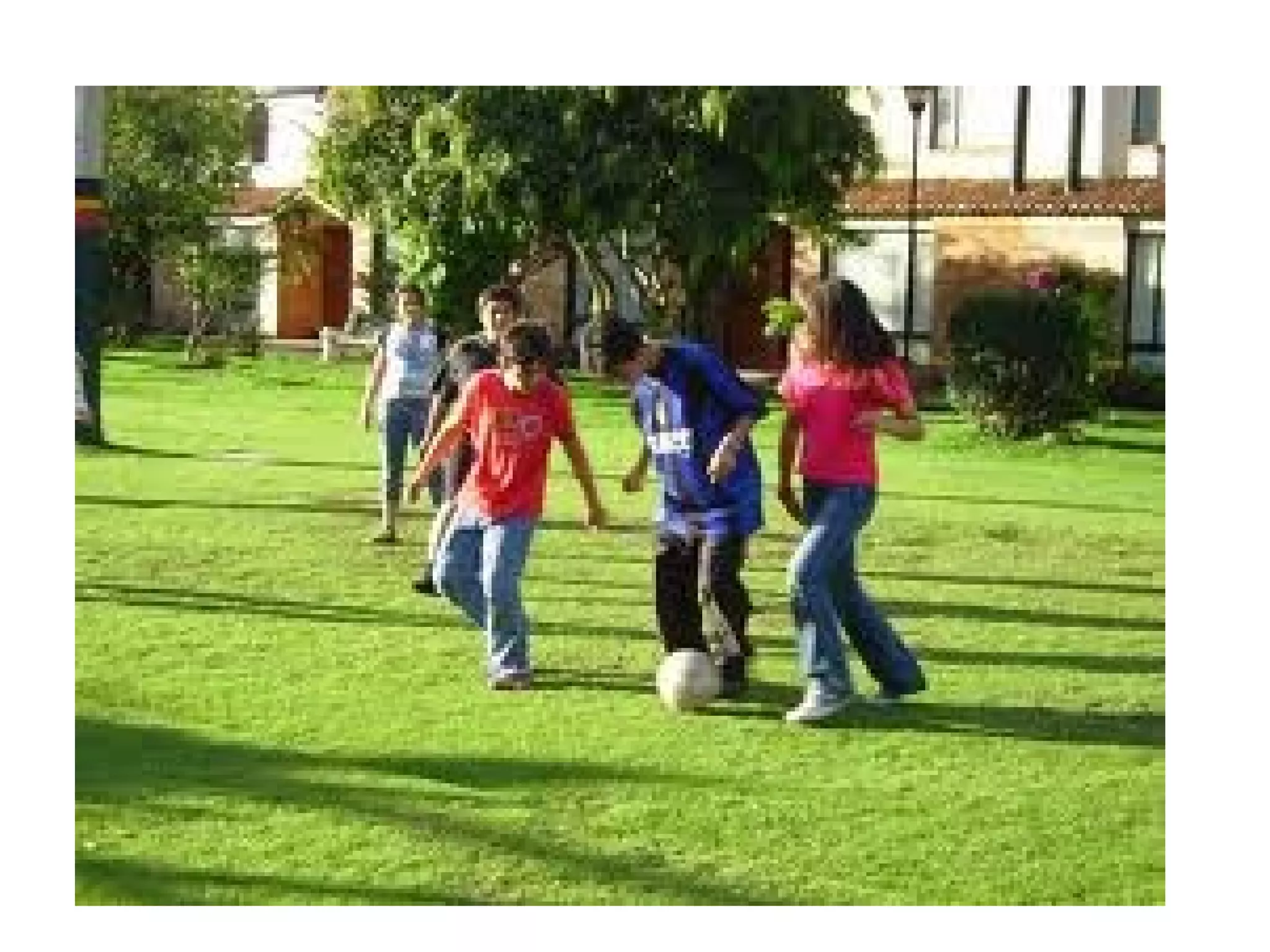 Projecte thao primaria 1