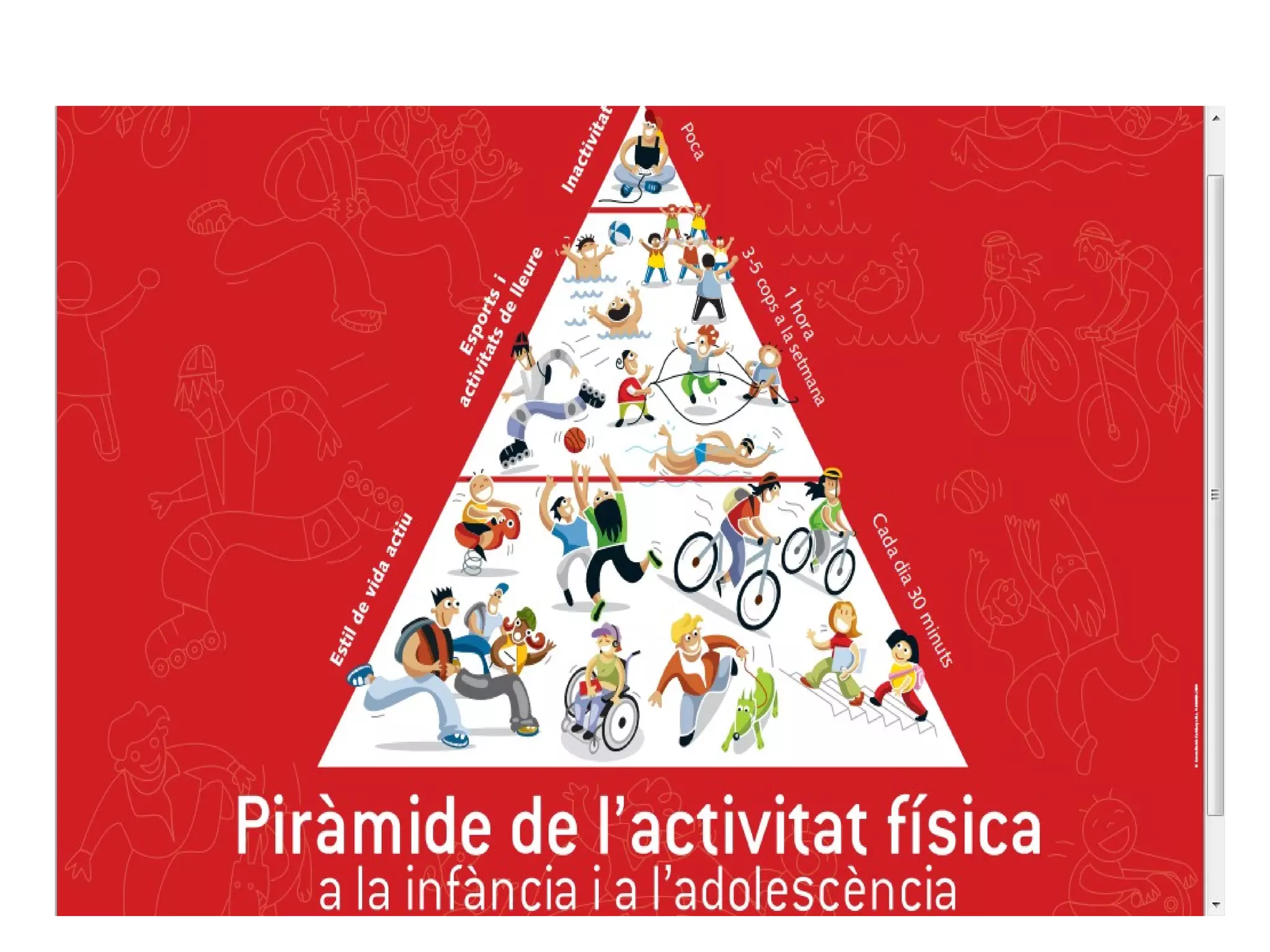 Projecte thao primaria 1