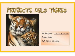 Projecte Tigres P4 B Escola Nova