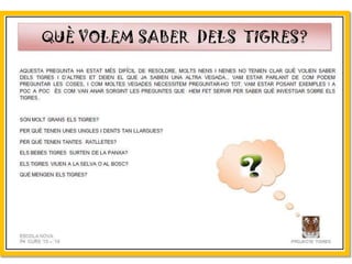 Projecte Tigres P4 B Escola Nova