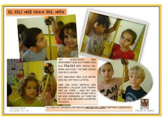 Projecte Tigres P4 B Escola Nova