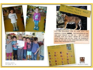 Projecte Tigres P4 B Escola Nova