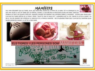 Projecte Tigres P4 B Escola Nova