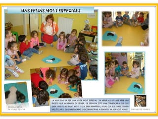 Projecte Tigres P4 B Escola Nova